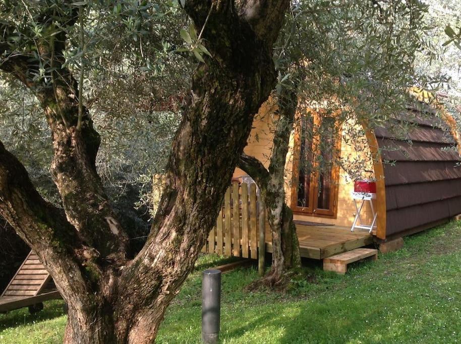 Igloo Garden Lake ソイアーノ・デル・ラーゴ エクステリア 写真
